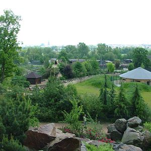 New Asian area at Plzen, 25/05/10