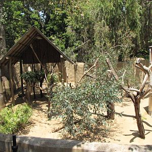 One of Two Australian Mixed Yards