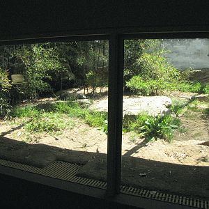 Komodo Dragon Sun Room