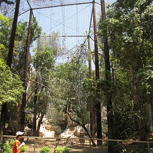 Mixed Red-knobbed Hornbill/Yellow-footed Rock Wallaby Enclosure