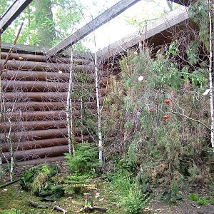 Siberian Aviary at Plzen, 25/05/10