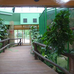 Hippo House interior at Plzen, 25/05/10