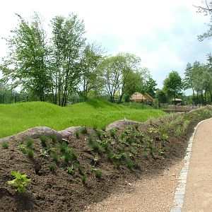 Future Cheetah exhibit at Plzen, 25/05/10