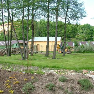 Giraffe paddock at Plzen, 25/05/10