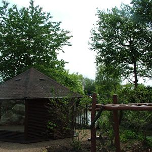 Lar Gibbon house and island at Plzen, 25/05/10