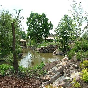 Lake in Asian area at Plzen, 25/05/10