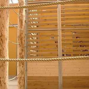 Giraffe House interior at Plzen, 25/05/10