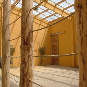 Giraffe House interior at Plzen, 25/05/10