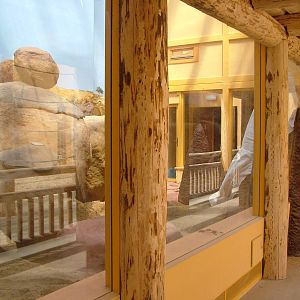 Future Rock Hyrax exhibit in Giraffe House at Plzen, 25/05/10