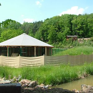Asian Yurt at Plzen, 25/05/10