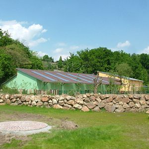 Rhino House and Paddock at Plzen, 25/05/10