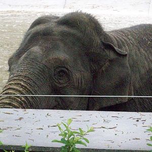 I have my eye on you...