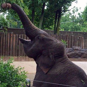 Twist with the truck