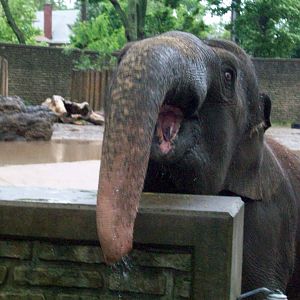 I'm coming to get you!!