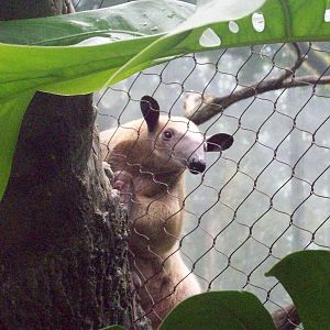 Does this side make me look good?