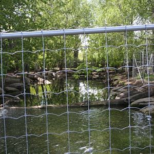Japanese Serow Exhibit