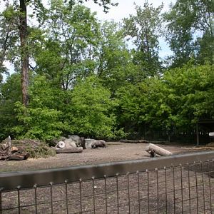 Former Wild Boar Enclousure