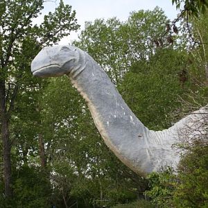 "Dinny" The Dinosaur