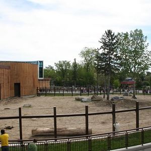 Main Yard Elephant Crossing