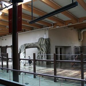 Inside Elephant Crossing