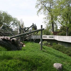Capybara and Spider Monkey Exhibit