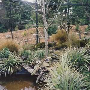 Queens Park aviaries, Invercargill