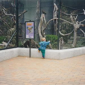 Queens Park aviaries, Invercargill