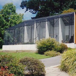 aviaries at Dunedin Botanic Gardens, NZ