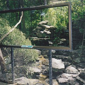 kea aviary
