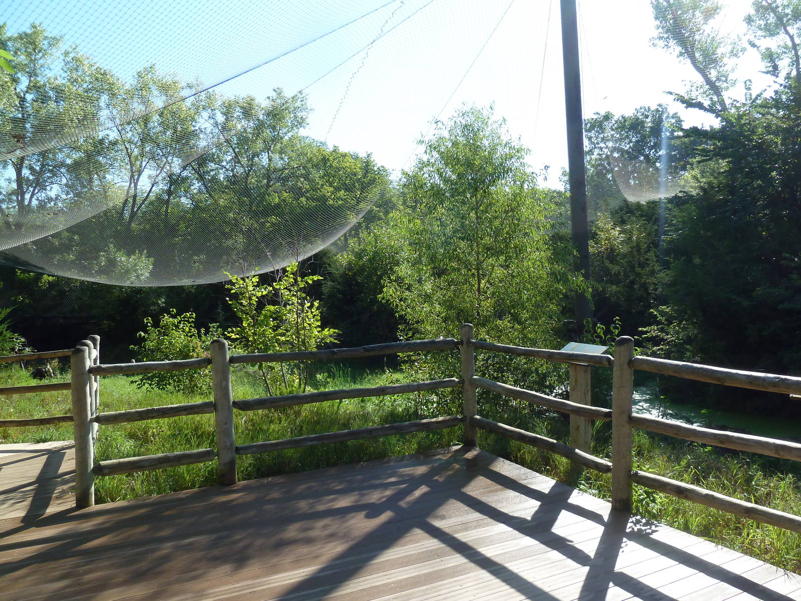0.5 Acre Bald Eagle Aviary