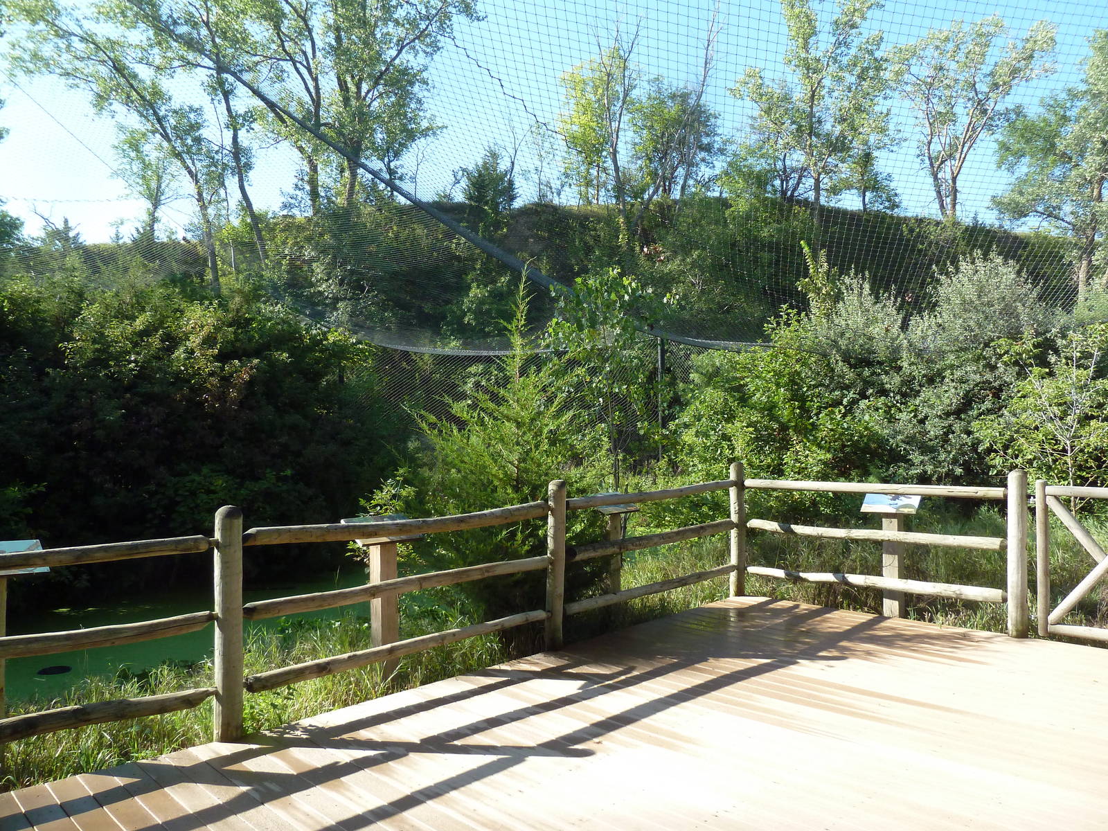 0.5 Acre Bald Eagle Aviary