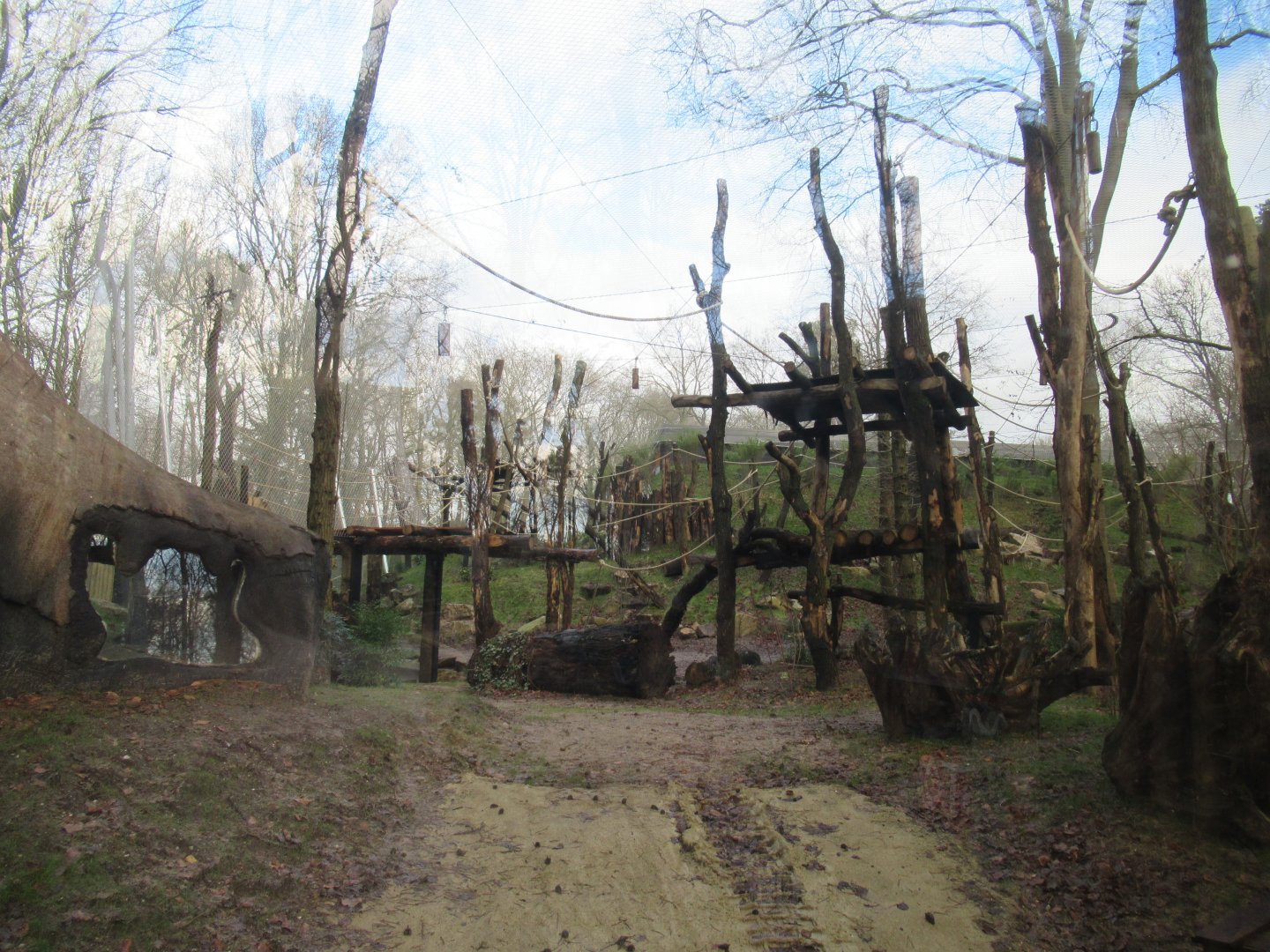 01 2025 - New chimp enclosure outside habitat section