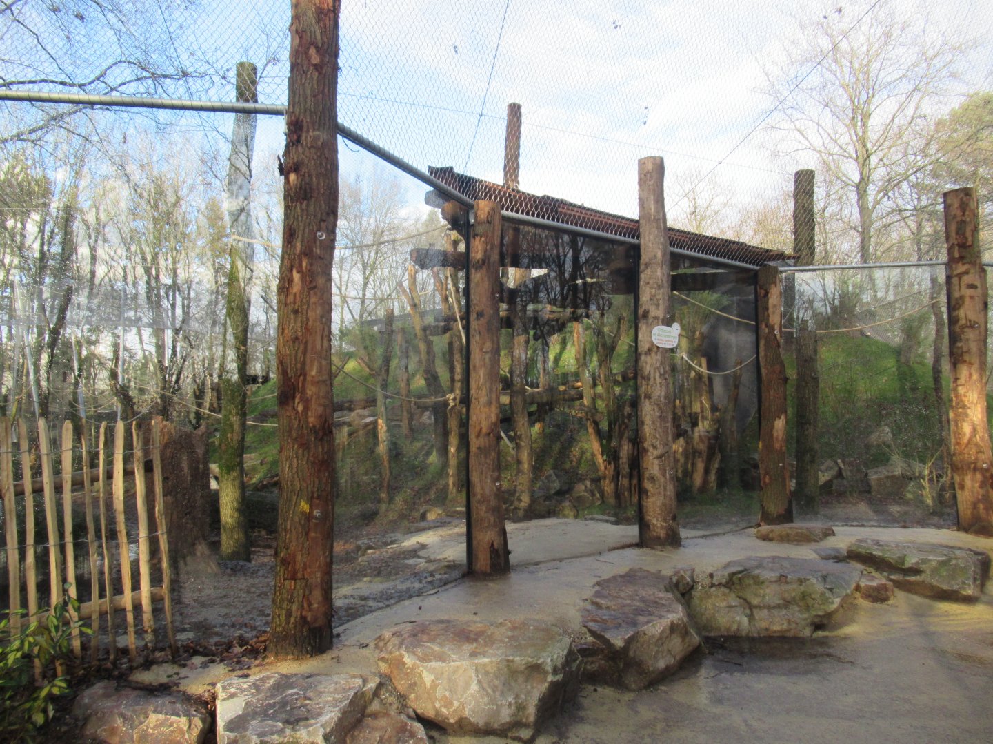 01 2025 - New chimp enclosure viewpoint #3