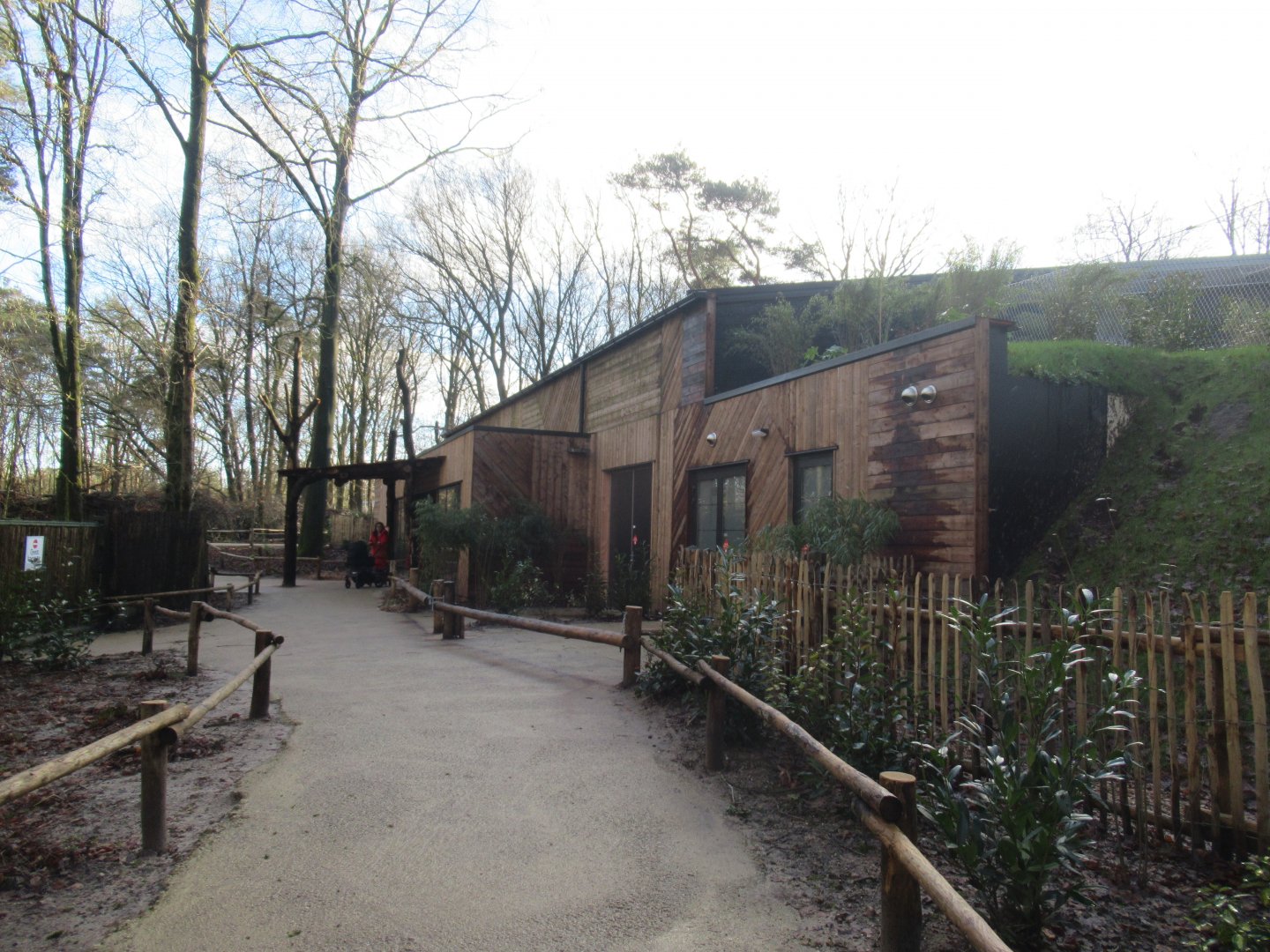 01 2025 - New chimp enclosure visitor entrance inside enclosure