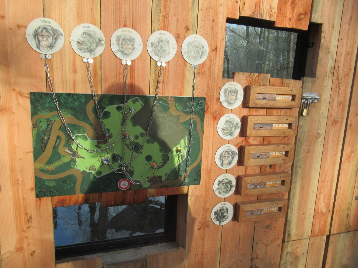 01 2025 - New chimp enclosure vistor viewing point #2