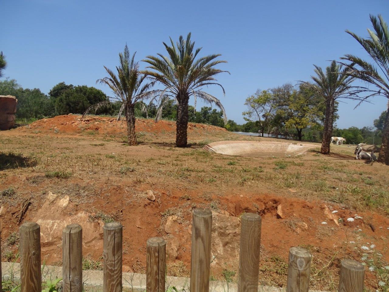 03/05/17 - Addax exhibit