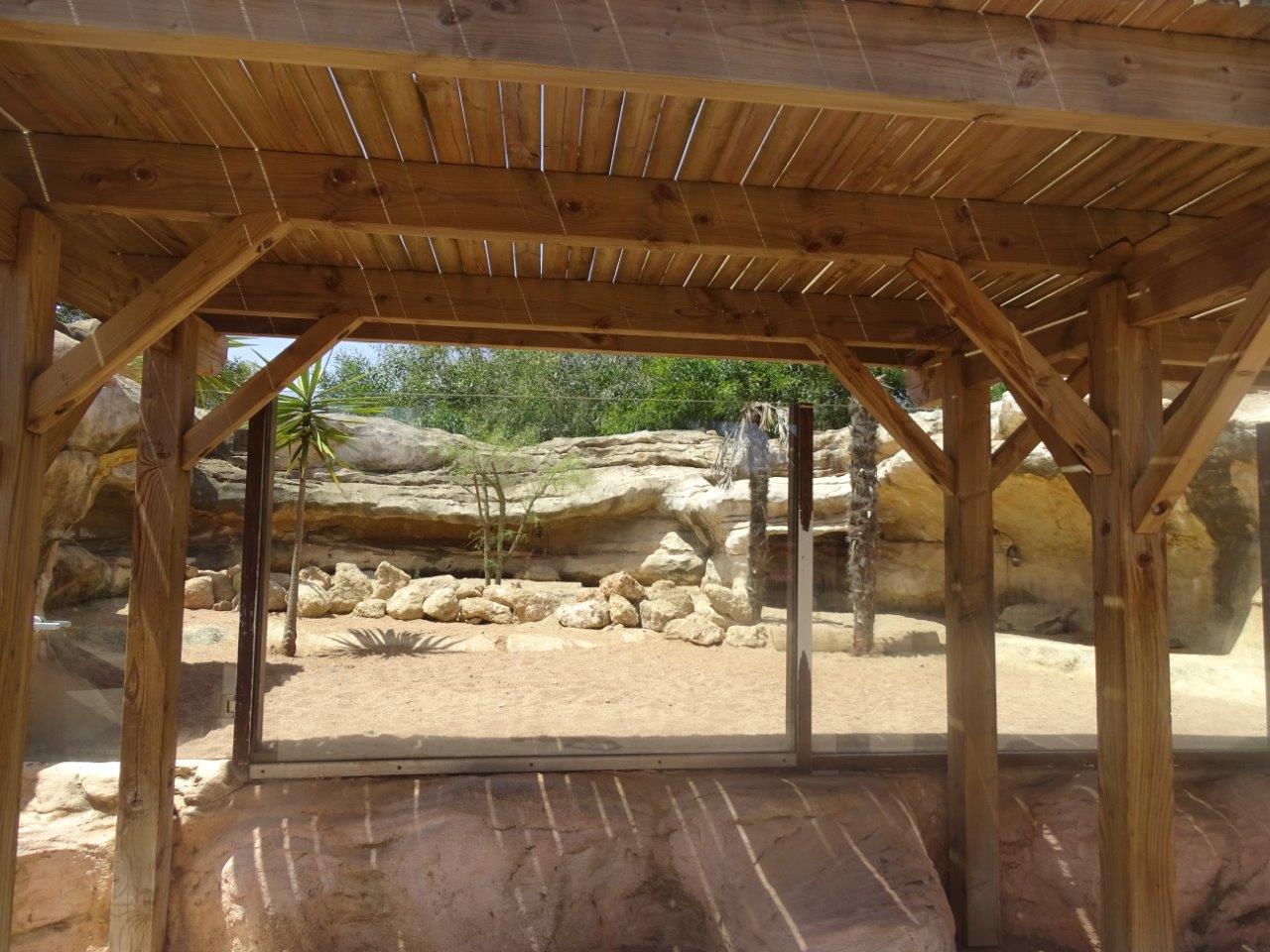 03/05/17 - African spurred tortoise exhibit