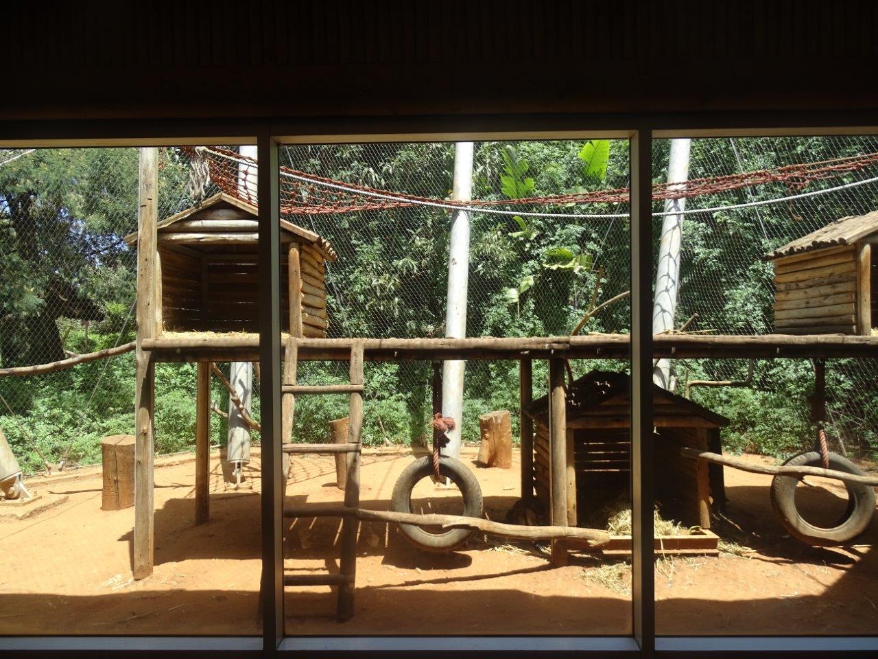 03/05/17 - Campbell's mona monkey (exhibit)