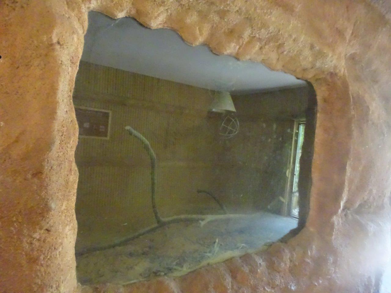 03/05/17 - Empty exhibit