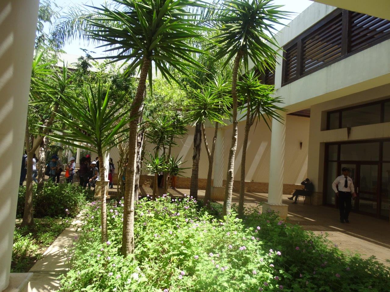 03/05/17 - Exemple of architecture and foliage inside the ''Botanical Garden''