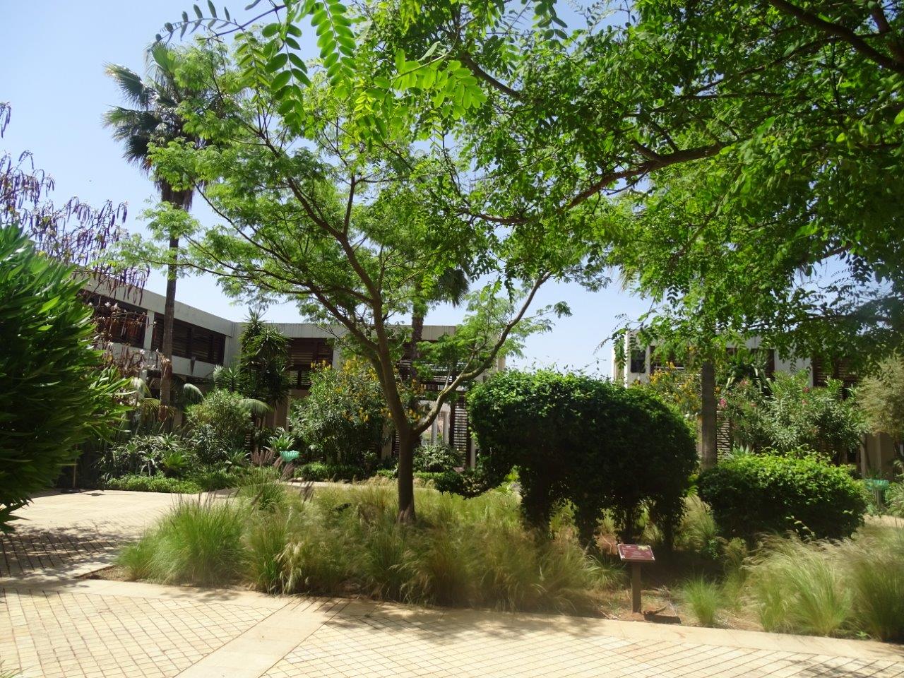 03/05/17  - Exemple of foliage (and topiary) near the entrance