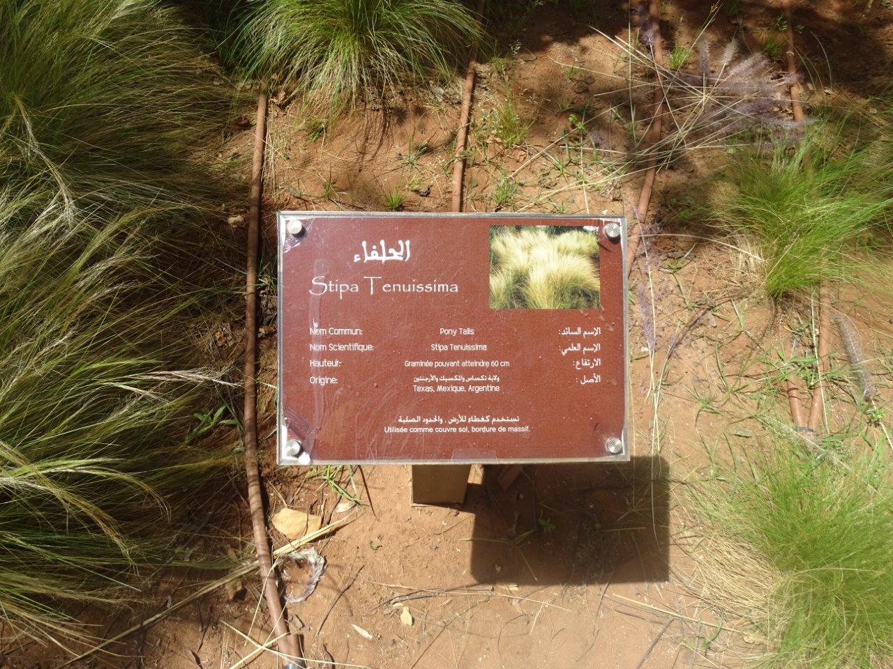 03/05/17 - Exemple of signage inside the ''Botanical Garden''