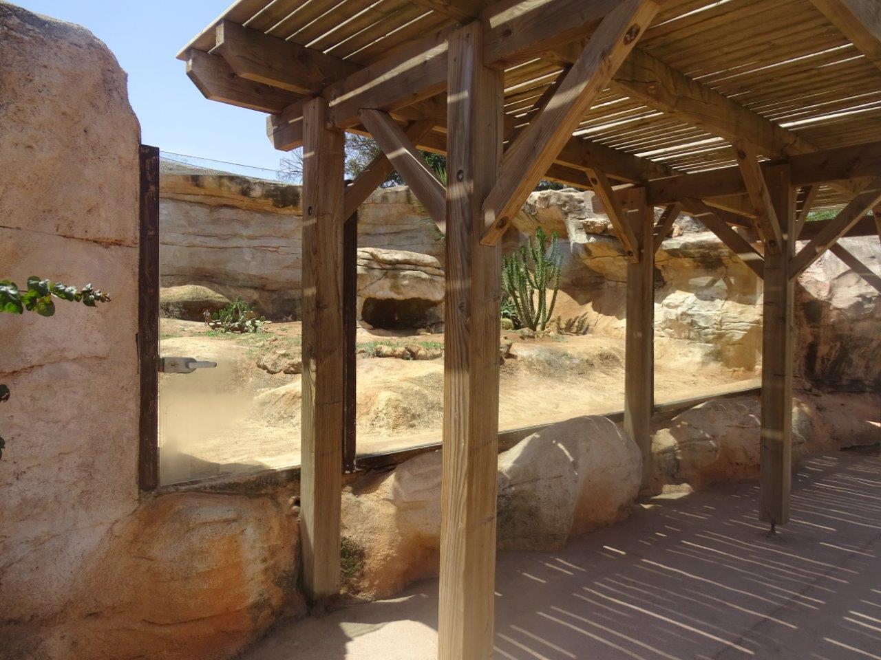 03/05/17 - Fennec fox exhibit