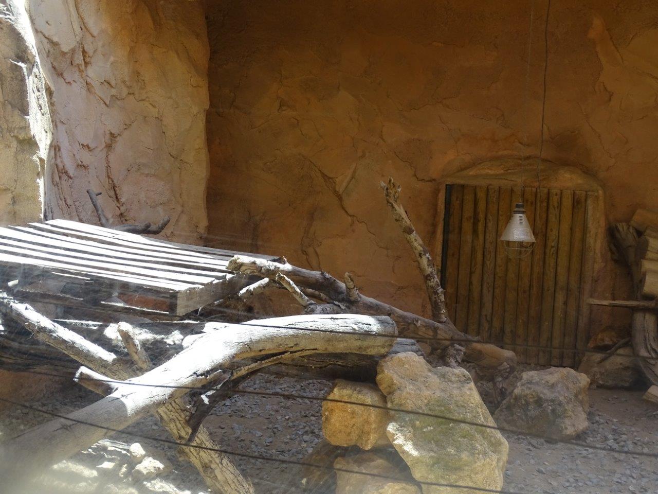 03/05/17 - Red fox exhibit