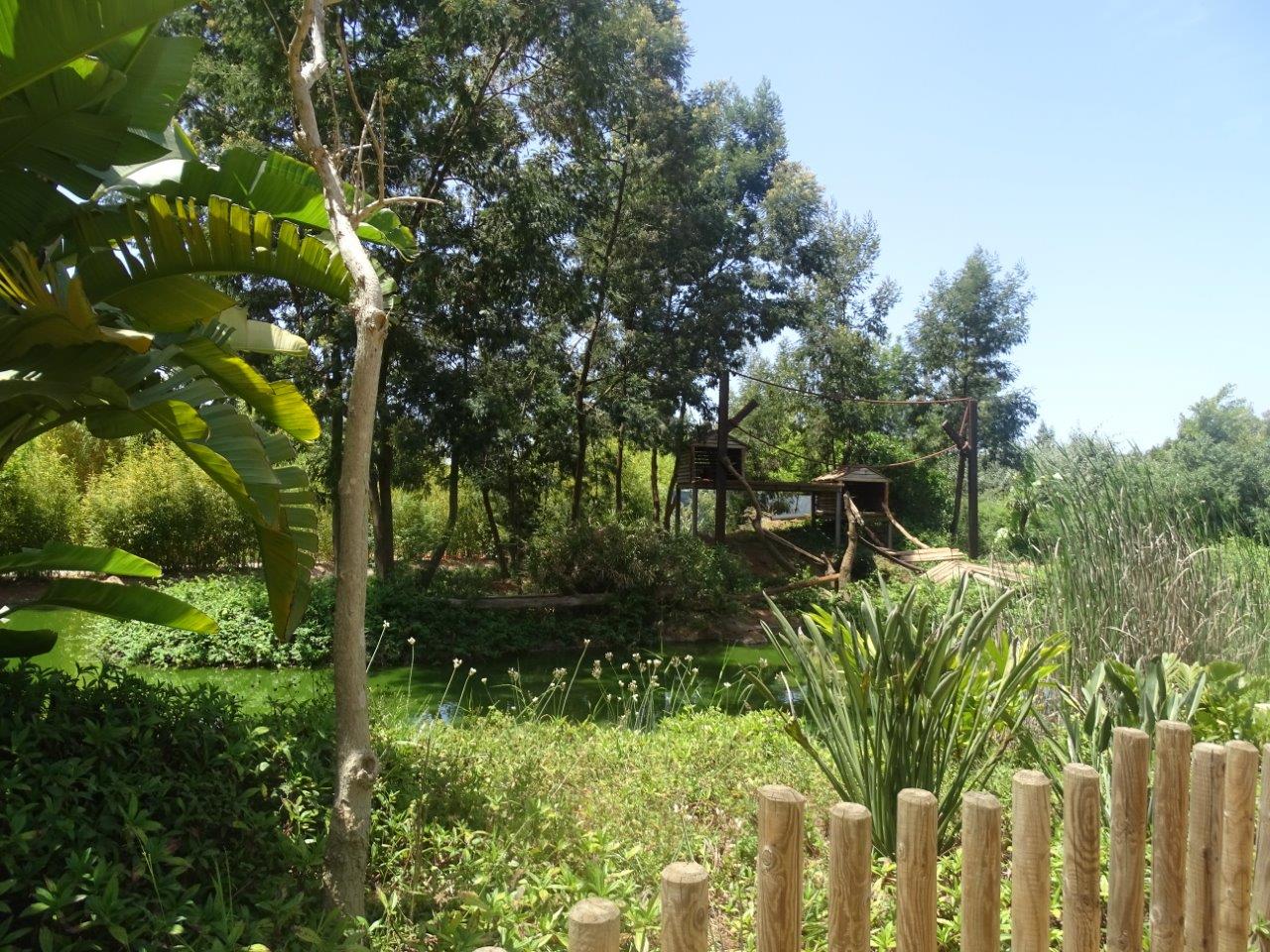 03/05/17 - Red ruffed lemur (exhibit)