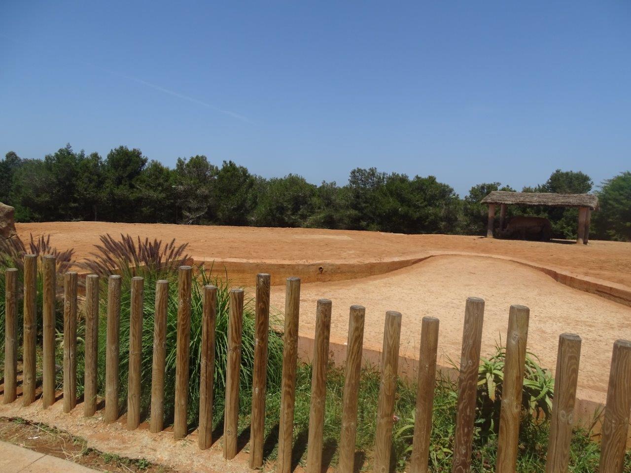 03/05/17 - Southern white rhinocers (exhibit)