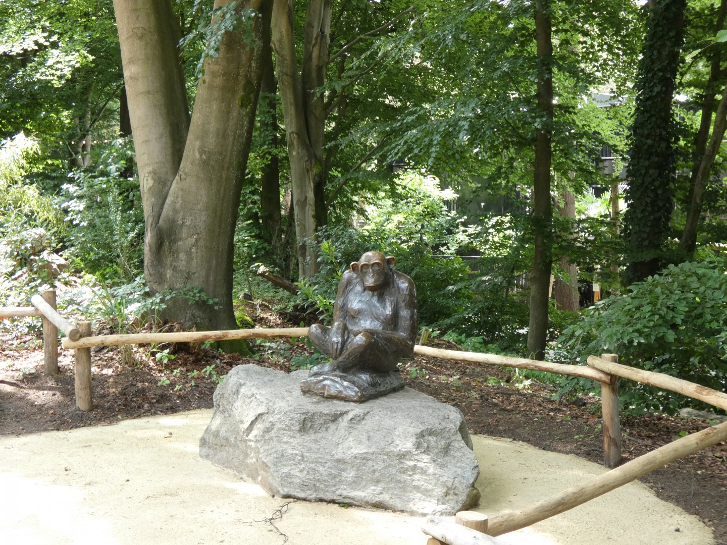 06 2025 - Chimp bronze statue, now placed at new enclosure