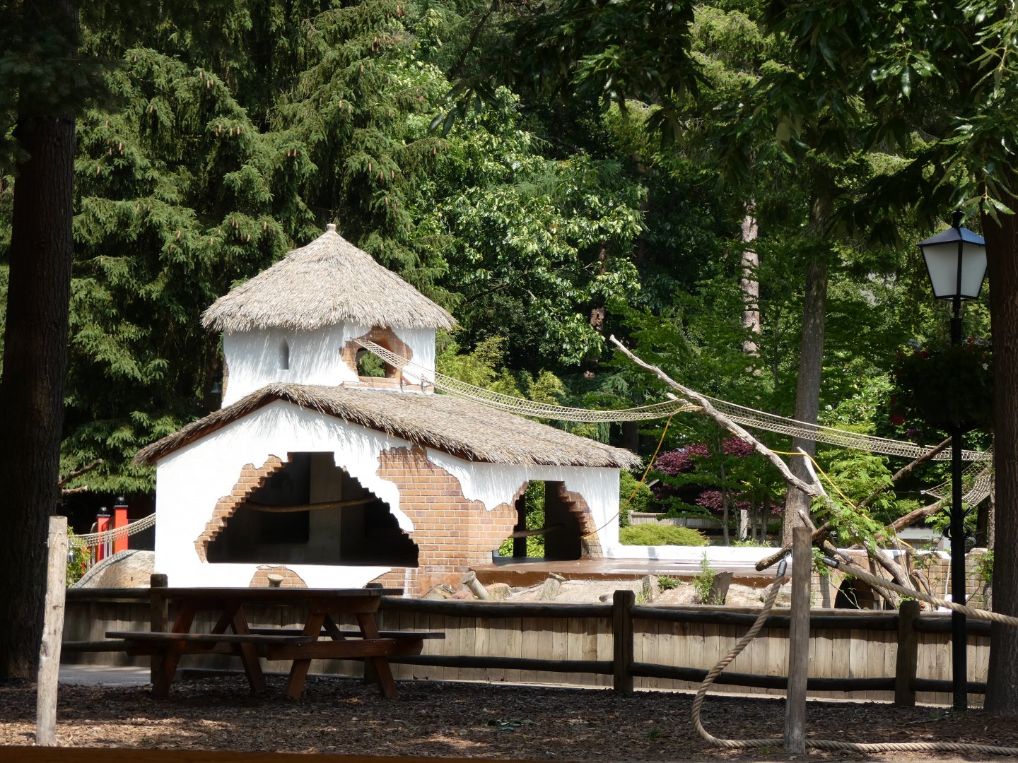 06 2025 - Red ruffed lemur house