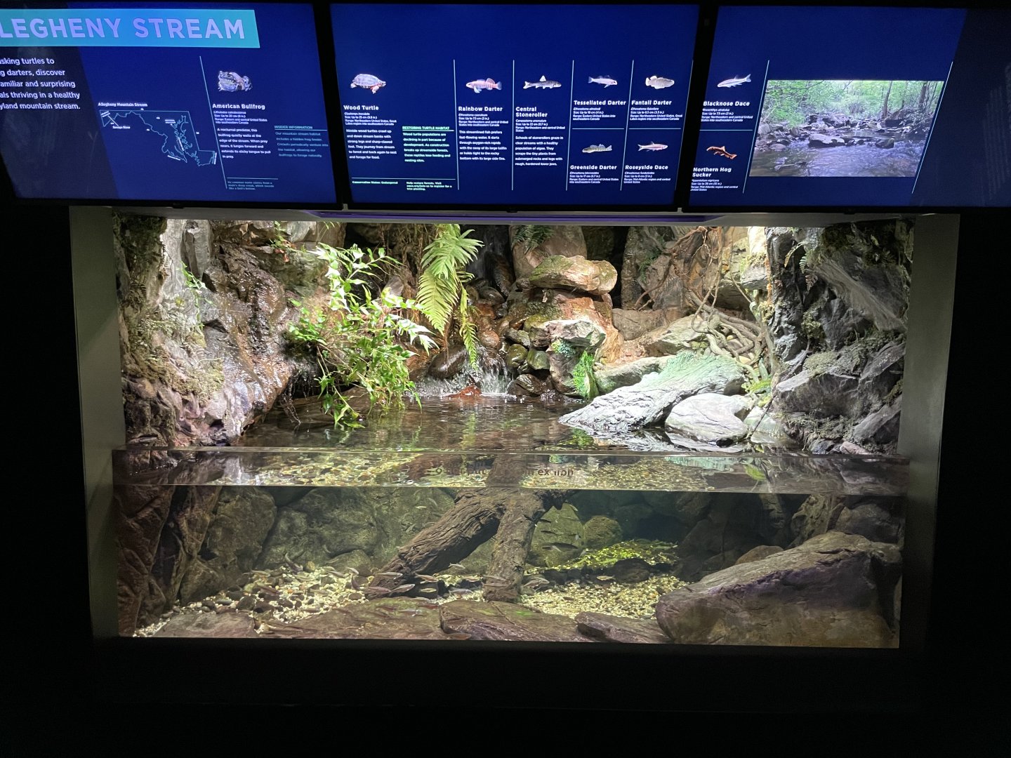 09/13/23 - Allegheny Stream Tank