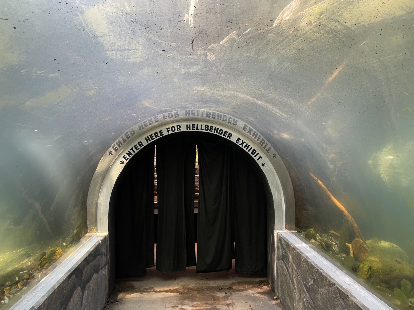 09/13/23 - Entrance to Hellbender exhibit